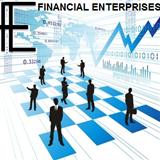 Financial Enterprises